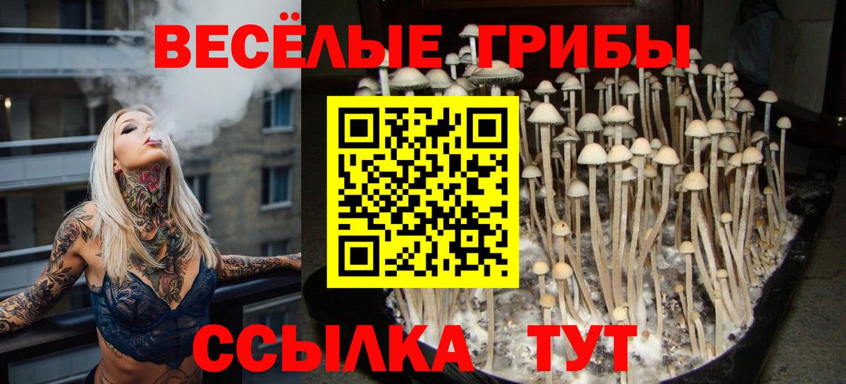 Галлюциногенные грибы прущие грибы Тихвин