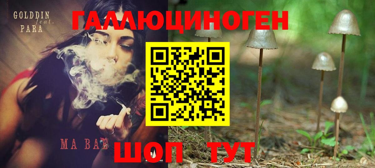 Псилоцибиновые грибы Cubensis  Галлюциногенные грибы мухоморы  даркнет сайт  Вход с VPN  Тихвин 